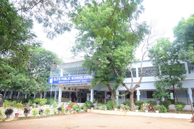 Elite Public School campus and activities